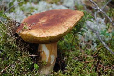 Similar image 22554234