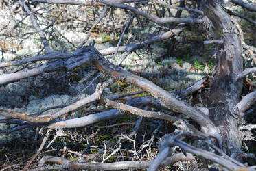 Similar image 22555974