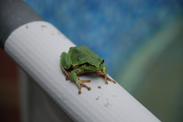 Similar image 22554236