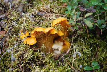 Similar image 22555975