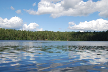 Similar image 22555976