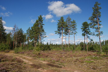 Similar image 22554237