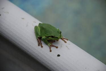 Similar image 22554255