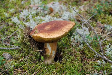 Similar image 22554256