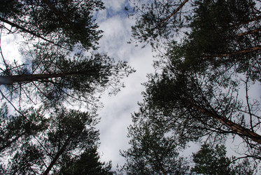 Similar image 22555986