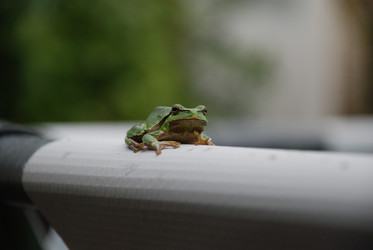 Similar image 22554257