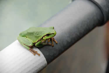 Similar image 22554258