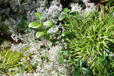 Similar image 22555988