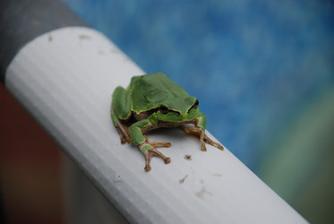 Similar image 22554259