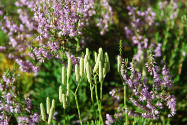 Similar image 22555990