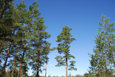 Similar image 22555991