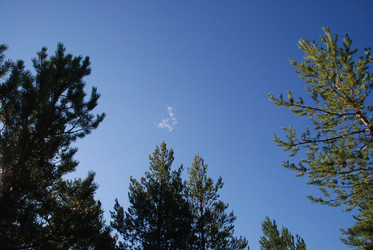 Similar image 22555992