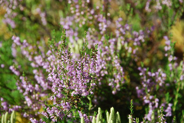 Similar image 22555993