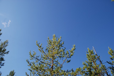 Similar image 22555945