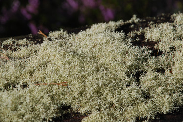 Similar image 22555947