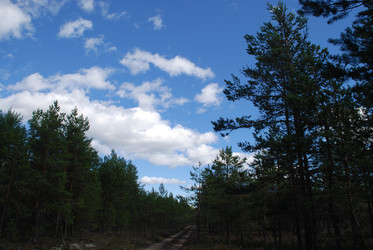 Similar image 22555948