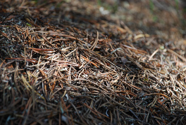 Similar image 22555949