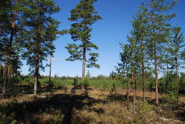 Similar image 22555950