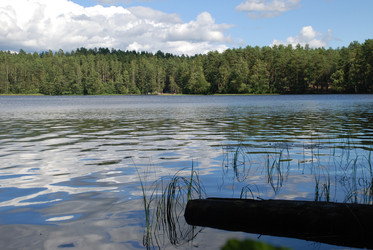 Similar image 22555951