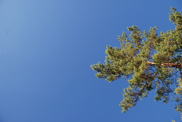 Similar image 22555953