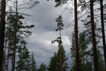 Similar image 22555954