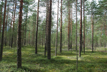 Similar image 22555956