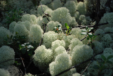 Similar image 22554228