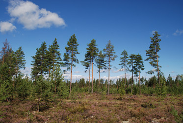 Similar image 22555957