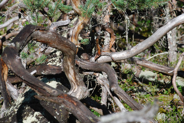 Similar image 22555958