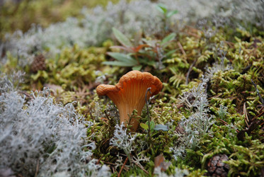 Similar image 22555959