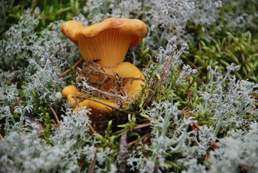 Similar image 22555960