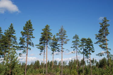 Similar image 22555961