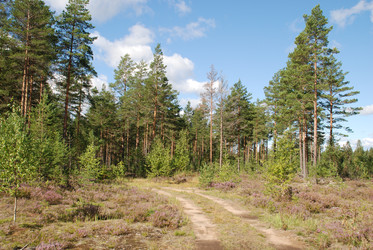 Similar image 22555962