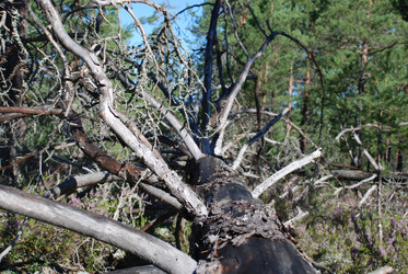 Similar image 22555964