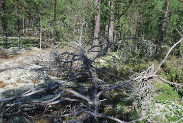 Similar image 22555966