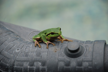 Similar image 22554238