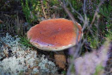 Similar image 22555967