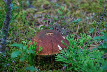 Similar image 22555968