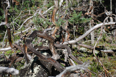 Similar image 22555969