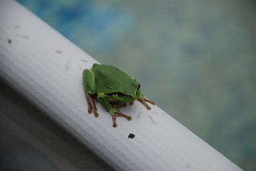 Similar image 22554240