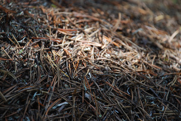 Similar image 22555978