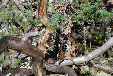 Similar image 22555979