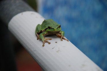 Similar image 22554241