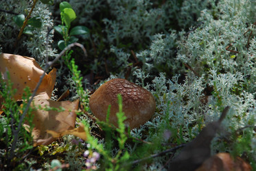 Similar image 22555980