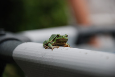 Similar image 22554243