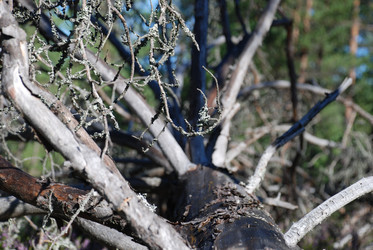 Similar image 22555983