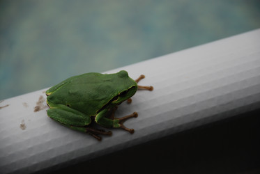 Similar image 22554244