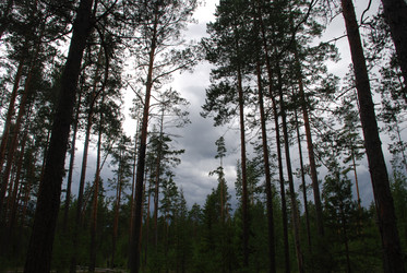 Similar image 22555985