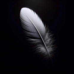 Similar image 22543603