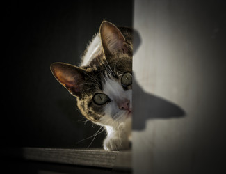 Similar image 22538689